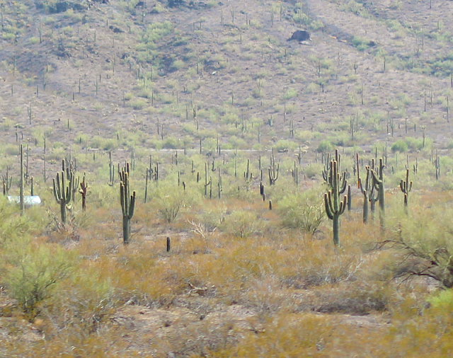 Arizona Landscape Arizona Landscape