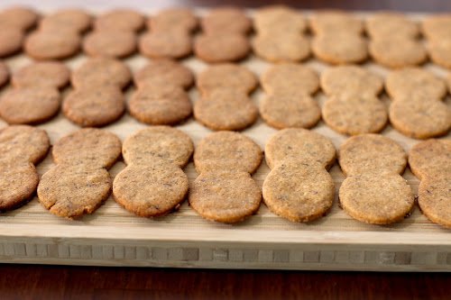 (Healthy Homemade Nutter Butters) Just as delicious as the storebought kinds but made without the corn syrup and trans fats, these homemade Nutter Butters will blow your mind! This DIY version is sugar free, high protein, gluten free, dairy free, and vegan too!