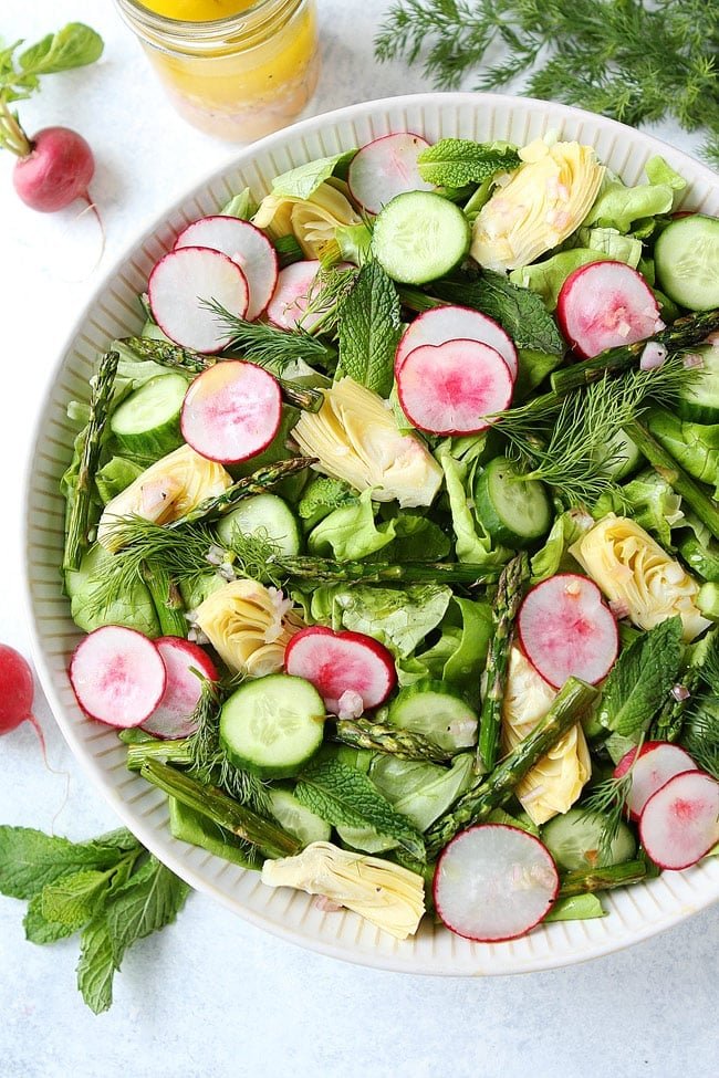 The perfect spring salad! You will love this fresh and healthy salad! It goes great with any meal! #spring #salad #vegan #glutenfree #vegetarian #sidedish #healthyrecipe #healthyeating Spring Salad Recipe