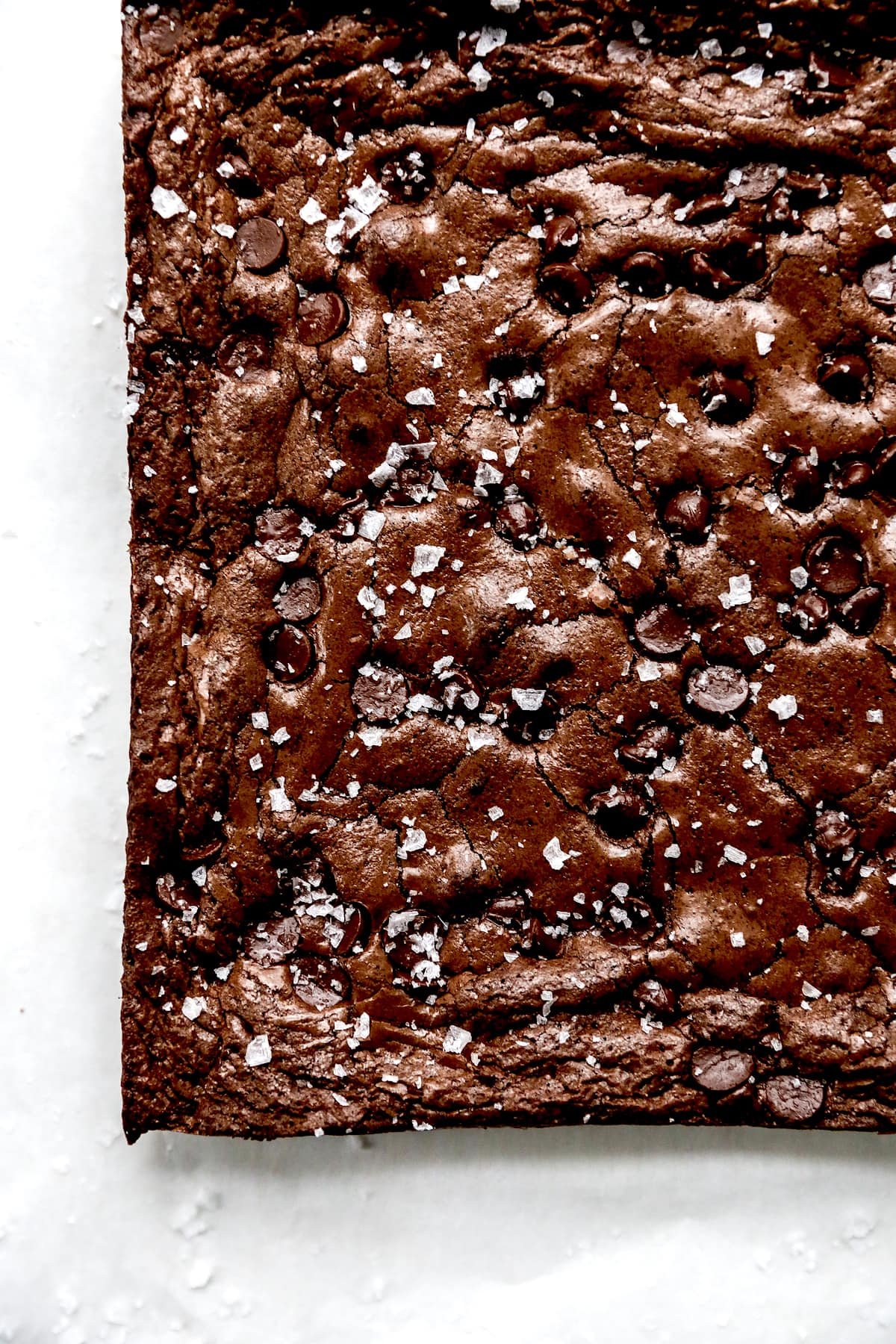 Gluten Free Brownies with chocolate chips and flaky sea salt.
