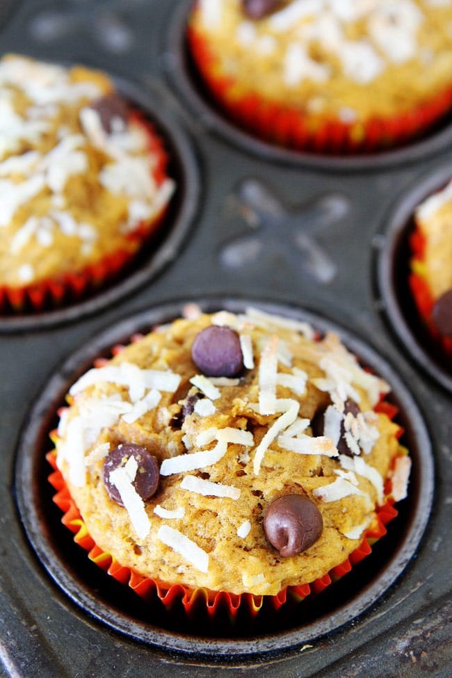 Pumpkin Coconut Chocolate Chip Muffins Recipe 