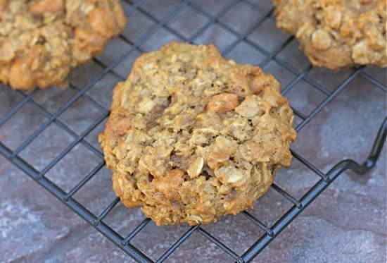 pumpkin-oatmeal-scotchies