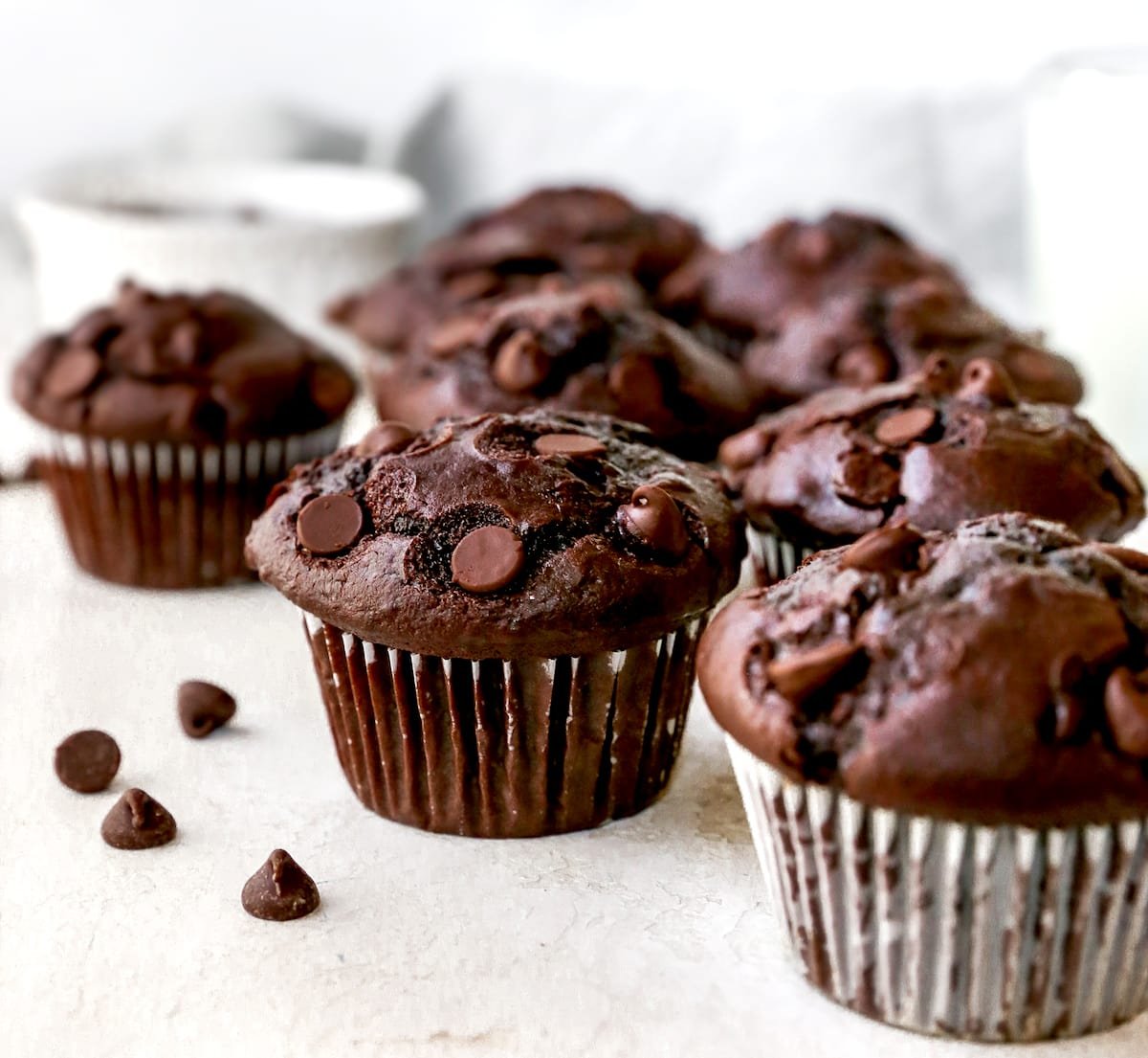 Chocolate muffins with chocolate chips.