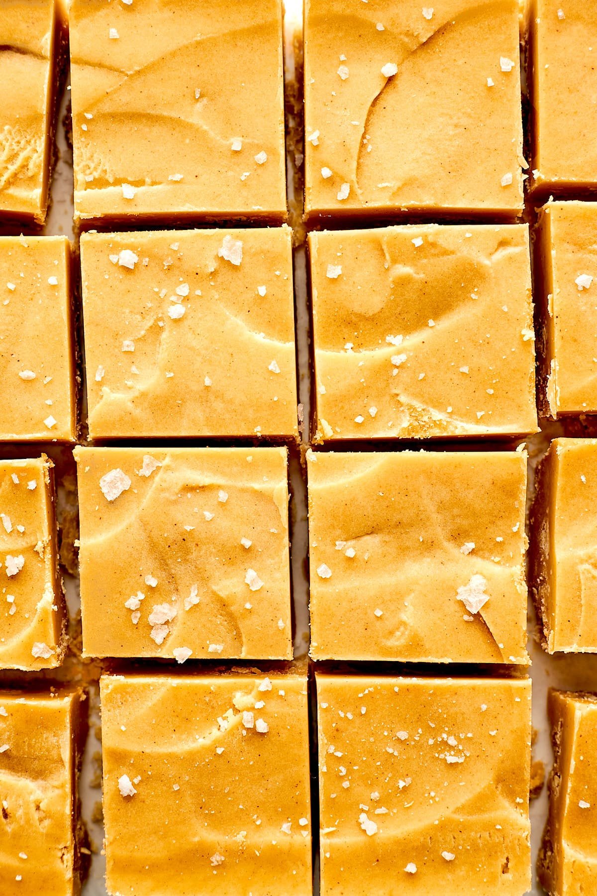 peanut butter fudge cut into squares with flaky sea salt on top.