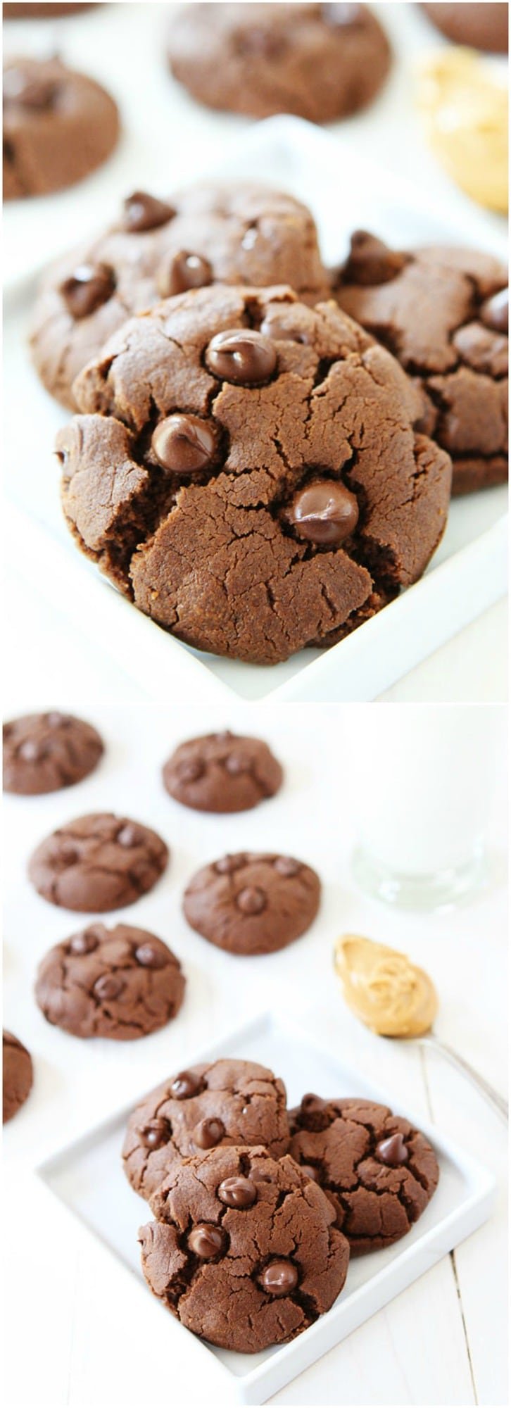 Flourless Chocolate Peanut Butter Cookie Recipe on twopeasandtheirpod.com You will never know these rich and soft cookies are gluten-free! They are SO good!