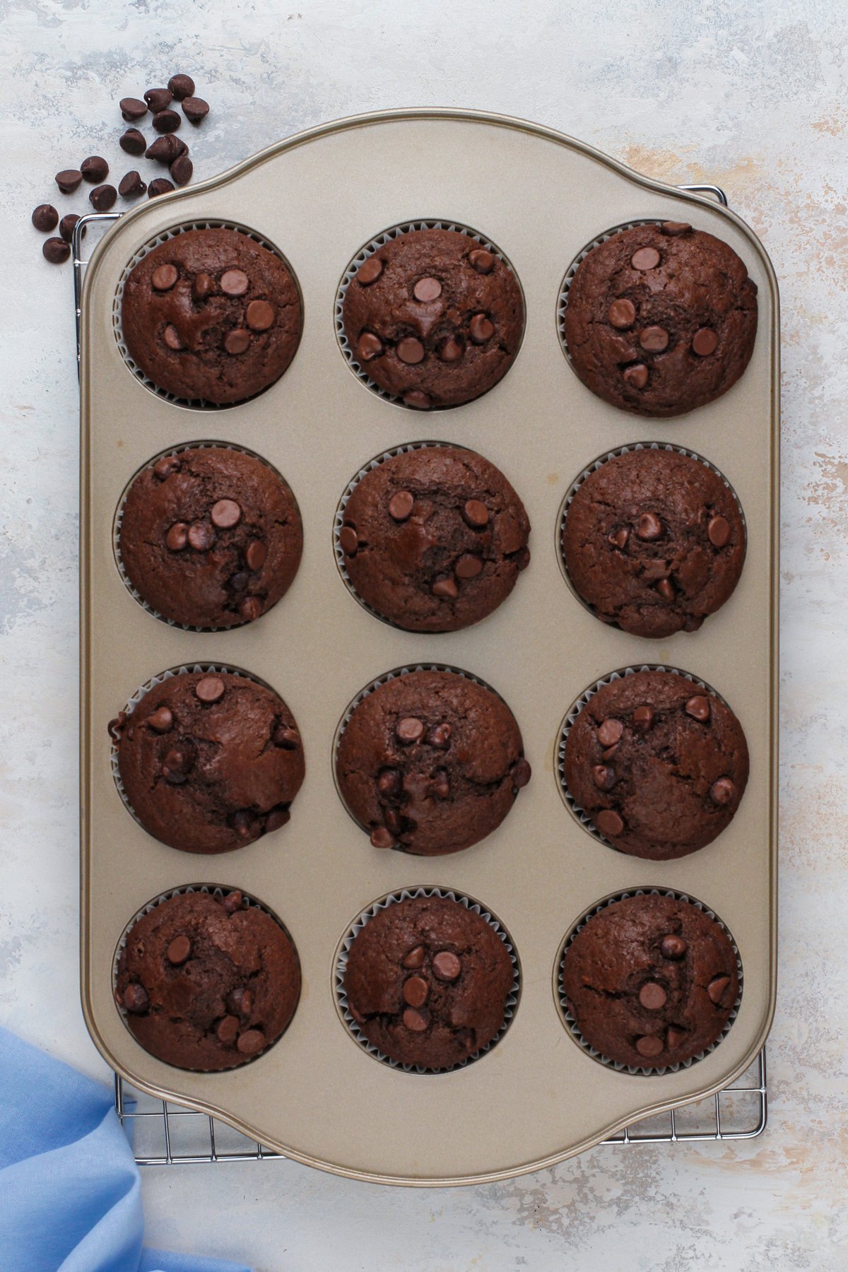 Overhead view of baked chocolate muffins cooling in a muffin tin.