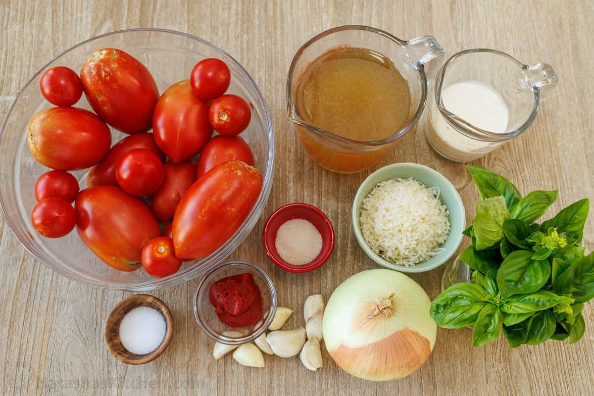 ingredients for the Italian stew with basil, onion, garlic, paste, salt, Parmesan, sugar, chicken stock and heavy cream