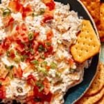 Million dollar dip with a cracker being dipping into it.