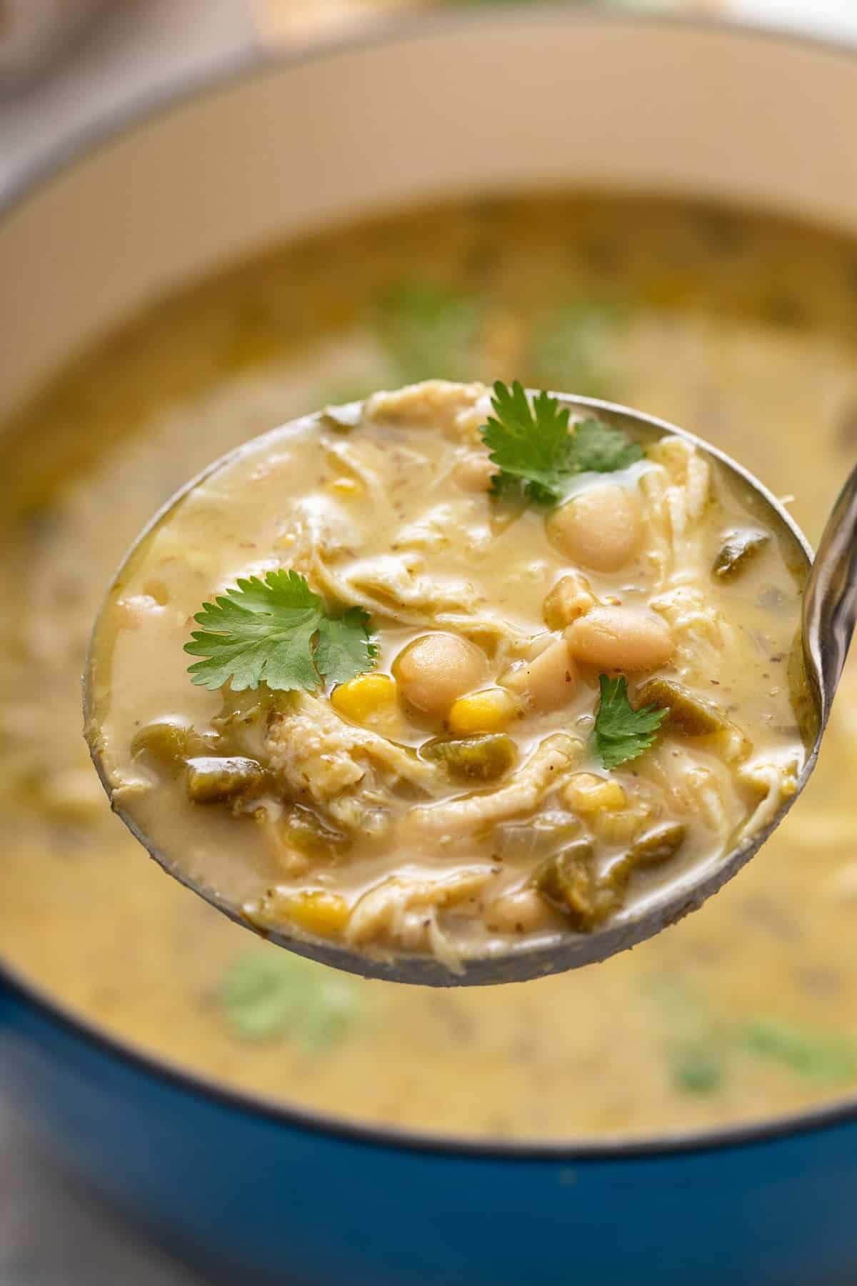 Ladle holding up a serving of white chicken chili.