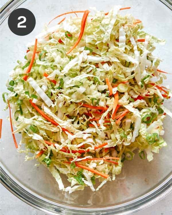 Vegetables in a bowl for okonomiyaki.