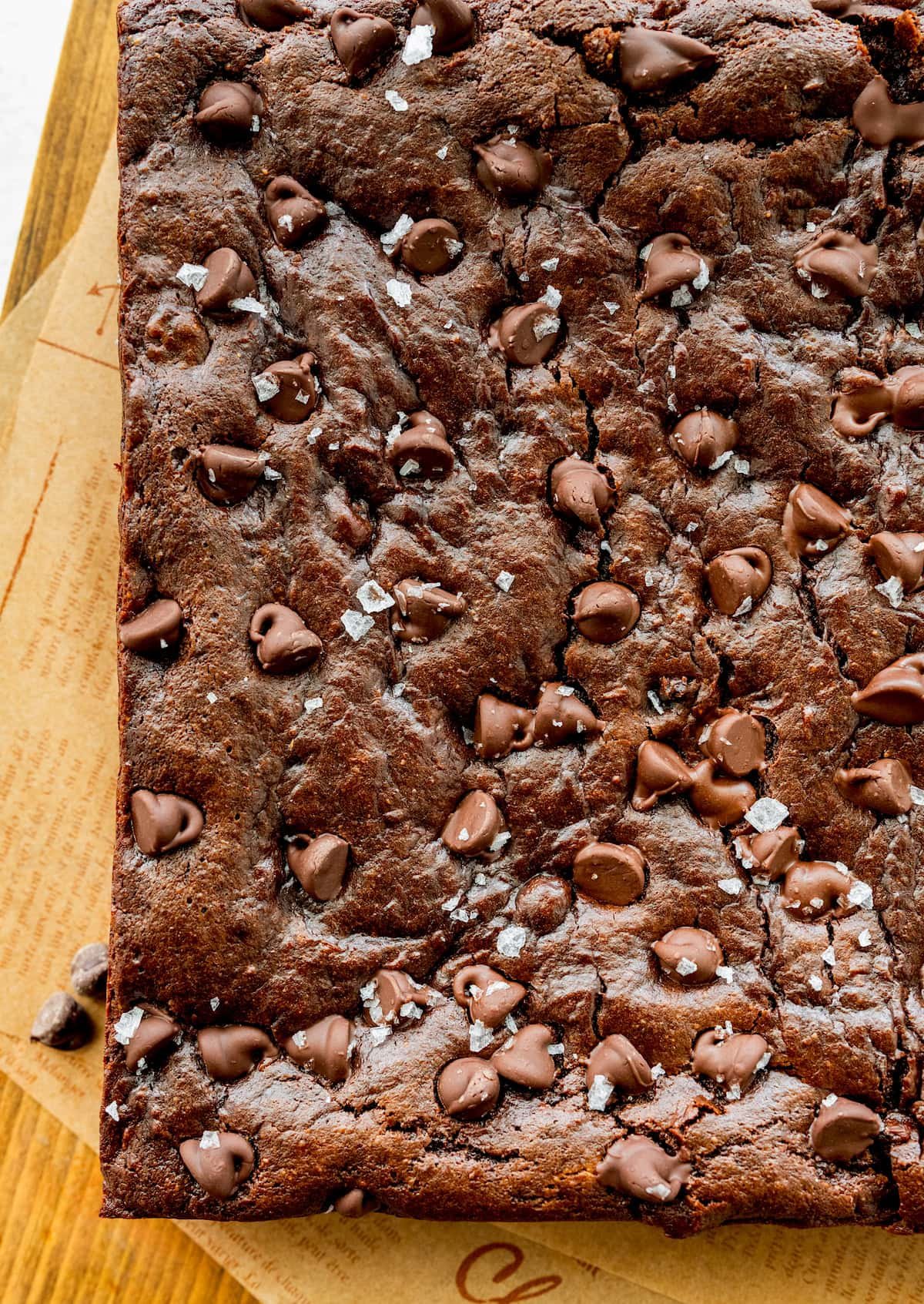 close up of sweet potato brownies with chocolate chips and flaky sea salt. 