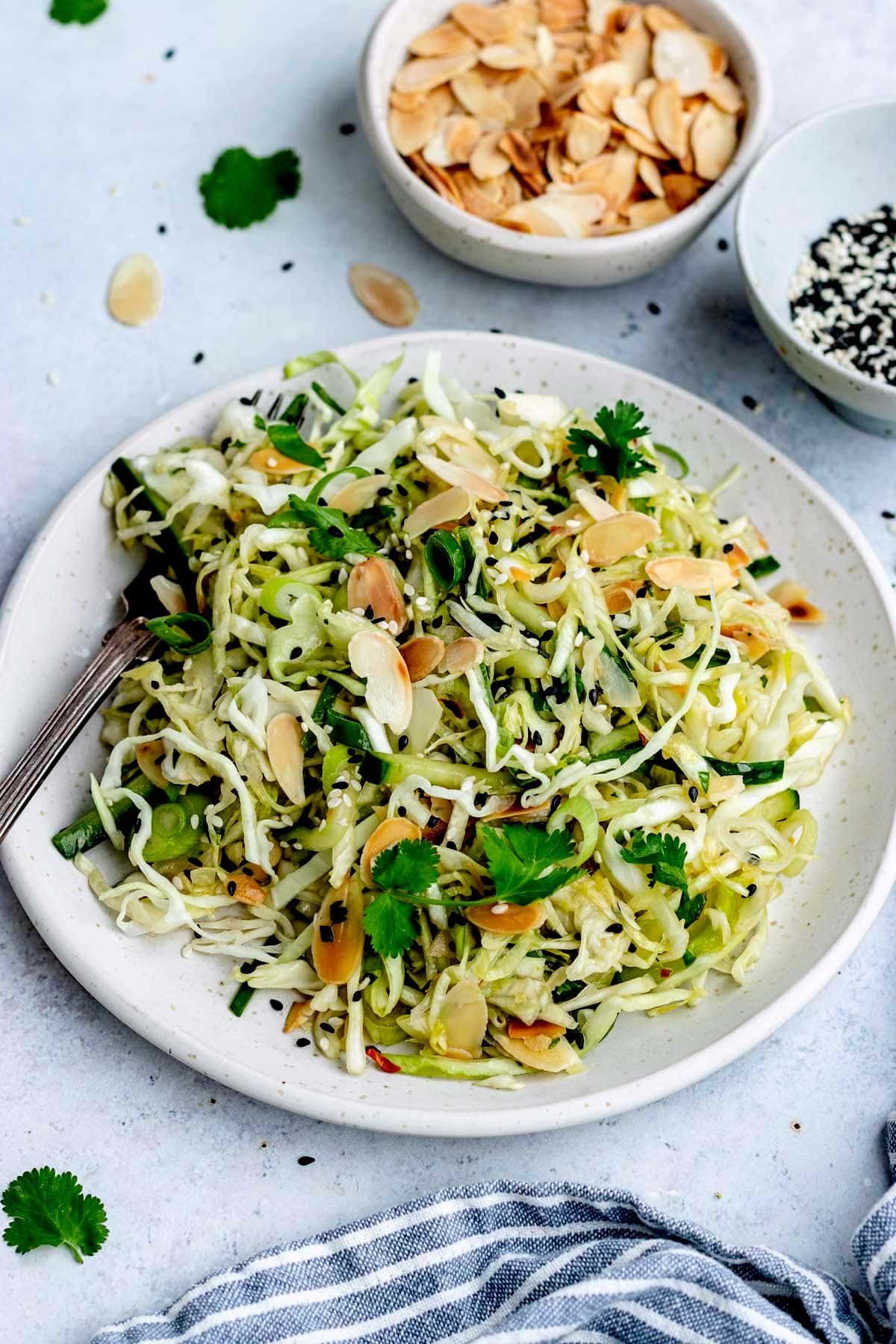 fresh sesame cabbage salad on plate with fork. 