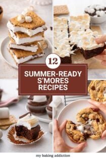 Pinterest collage of four s'mores recipes, including frozen s'mores, s'mores brownies, giant s'mores cookies, and s'mores cupcakes. Text overlay includes post name.