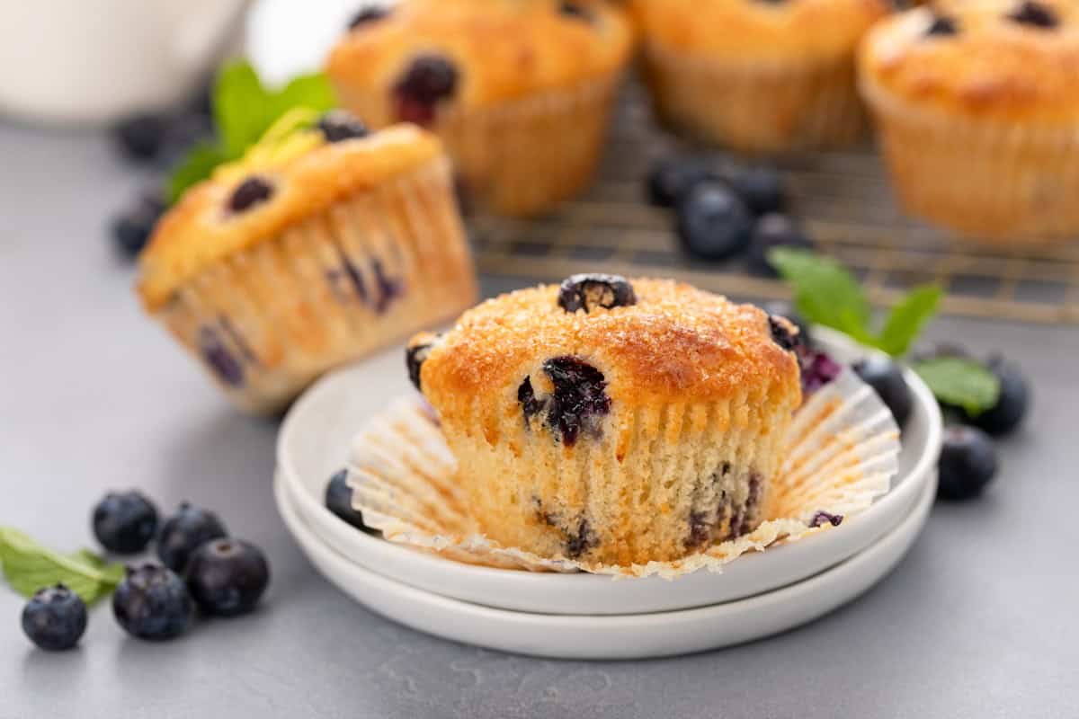 Unwrapped lemon blueberry muffin on a white plate.