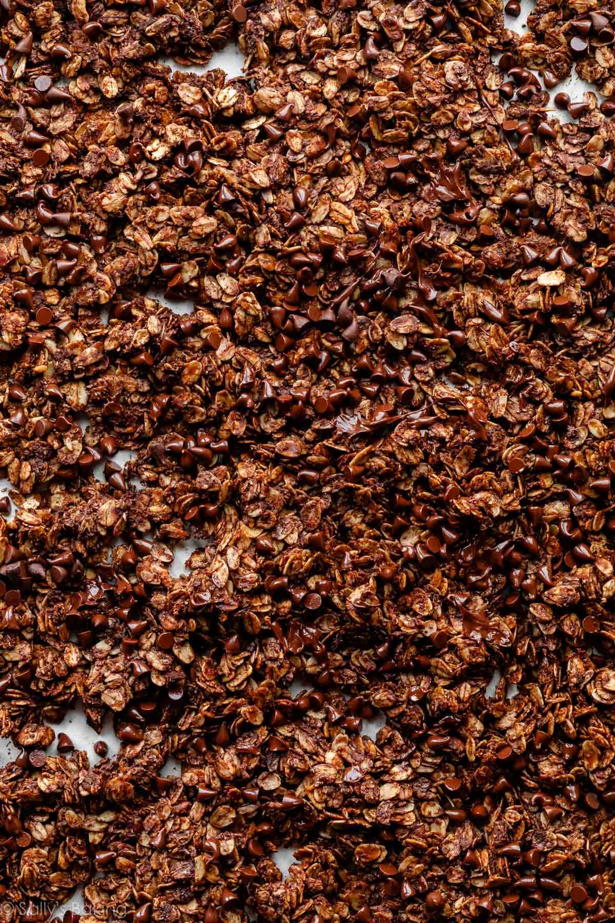 closeup of chocolate crunch granola on a baking sheet.