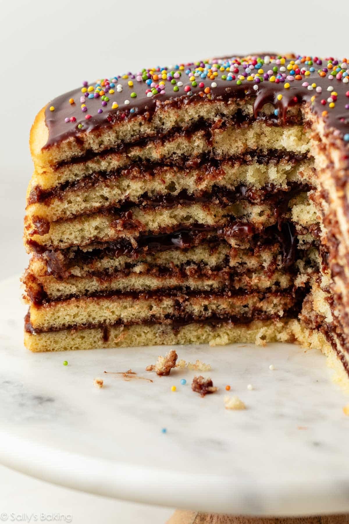 smith island cake with chocolate fudge icing.