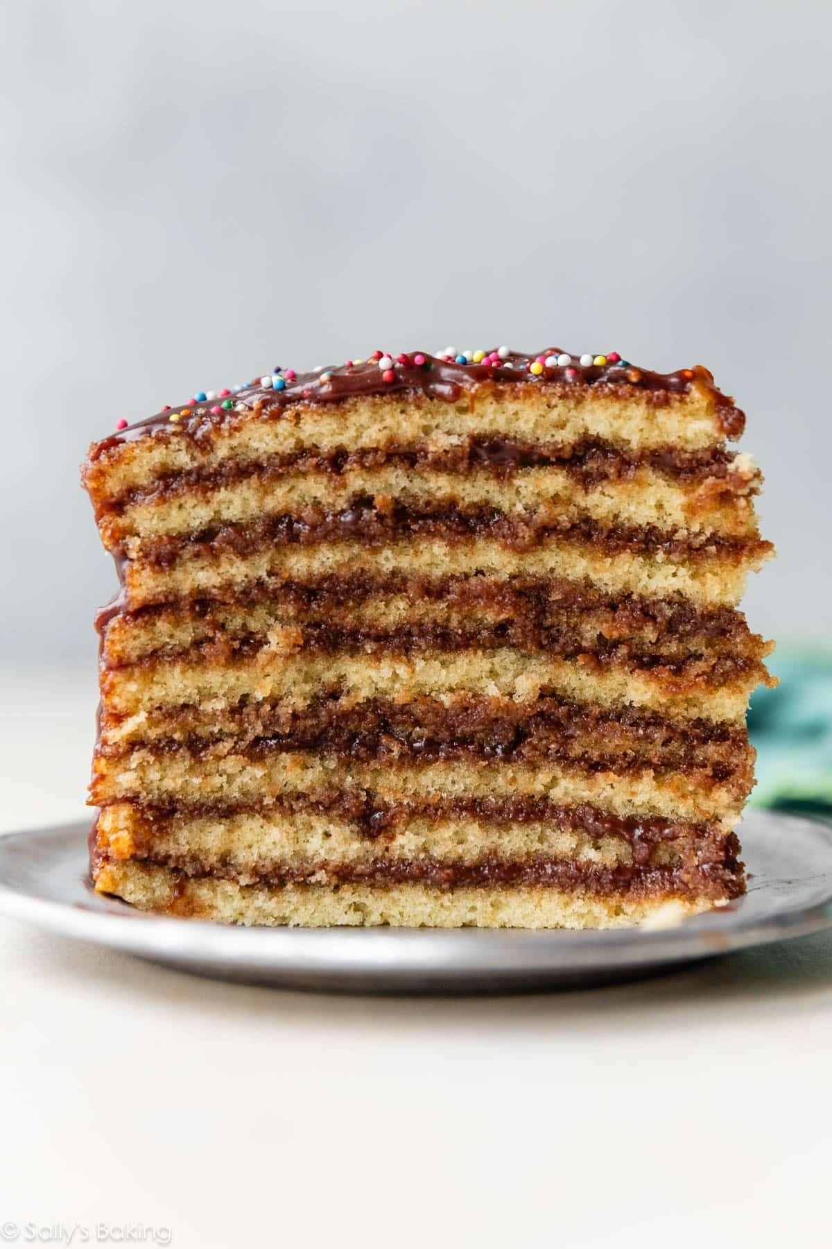 9 layer Smith Island cake slice on silver plate.