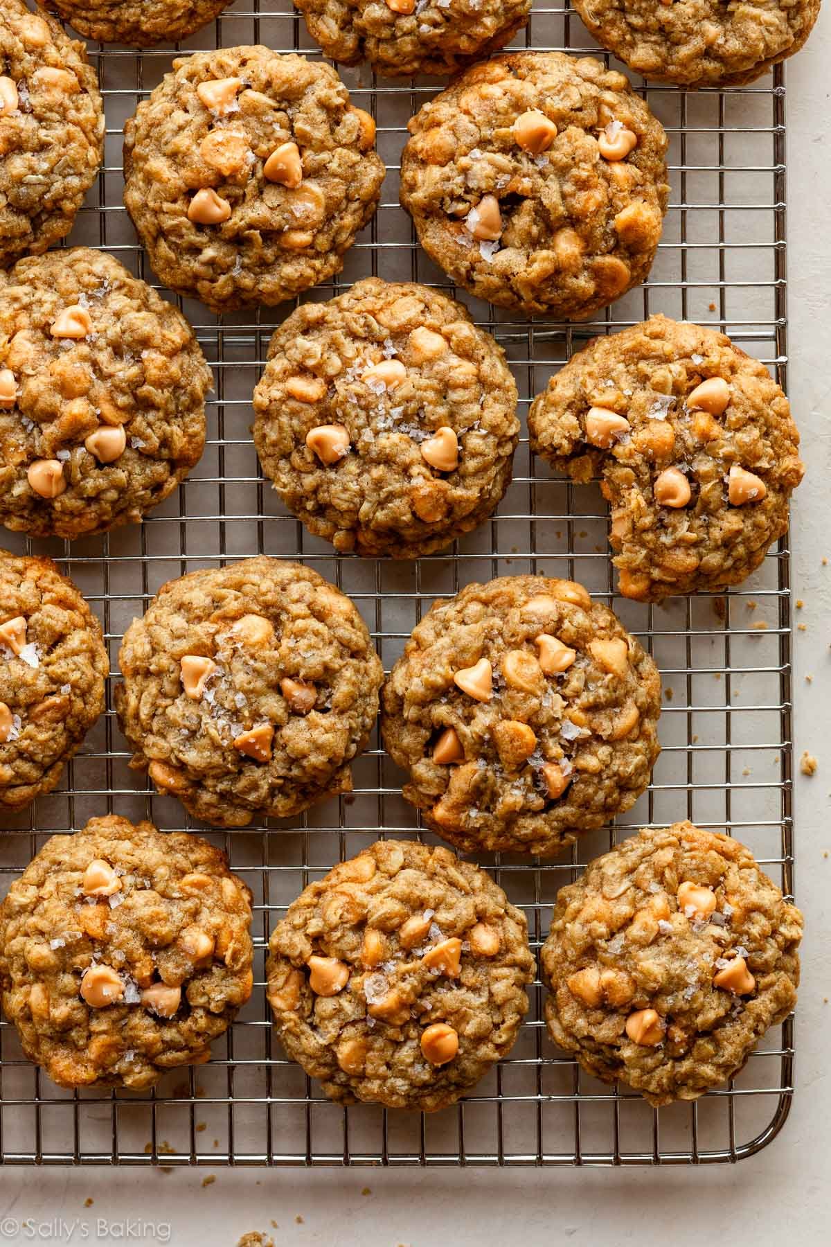 oatmeal scotchies cookies.